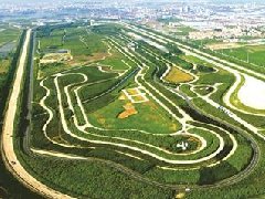 中國小龍蝦產(chǎn)業(yè)發(fā)展報(bào)告（2019），全國出臺(tái)產(chǎn)業(yè)規(guī)劃等各類政策扶持性文件近