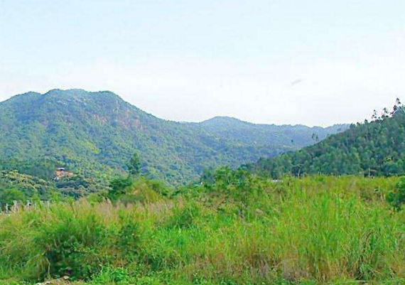 國(guó)家農(nóng)業(yè)科技園區(qū)管理辦法