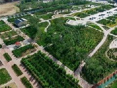 膠州、萊西獲選山東省省級現(xiàn)代農(nóng)業(yè)產(chǎn)業(yè)園建設主體