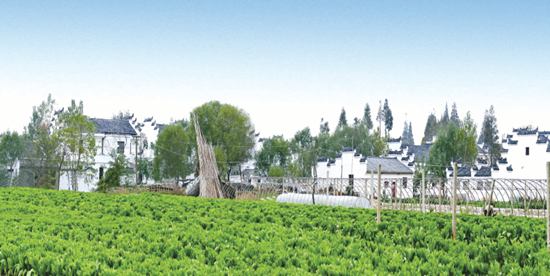 從無到有 從有到優(yōu) 臨空港經(jīng)開區(qū)旅游歷經(jīng)蝶變?cè)俪霭l(fā)