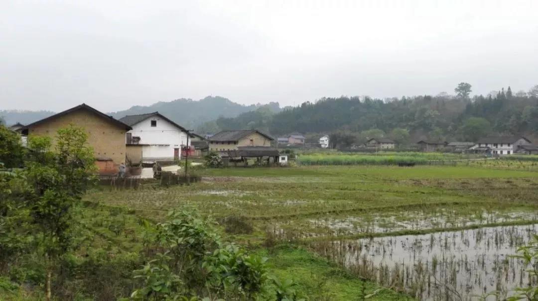 農(nóng)村土地確權(quán)結(jié)束,沒登記的四荒地如何處理?