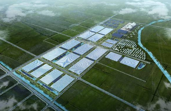 臨南鎮(zhèn):全力推動現(xiàn)代農業(yè)園區(qū)建設