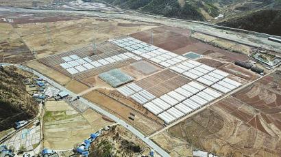 探訪建設中的四川省涼山州昭覺縣涪昭現(xiàn)代農業(yè)產(chǎn)業(yè)園