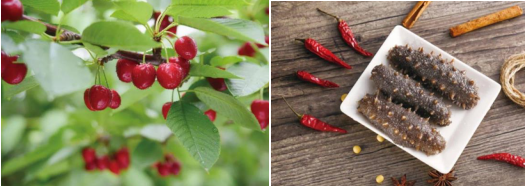 遼寧省大連瓦房店市全力推進國家現(xiàn)代農(nóng)業(yè)產(chǎn)業(yè)園建設(shè)